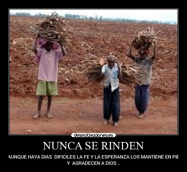 NUNCA SE RINDEN - 