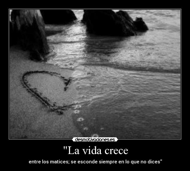 La vida crece - 