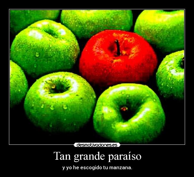 Tan grande paraíso -