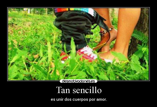 carteles lalala desmotivaciones