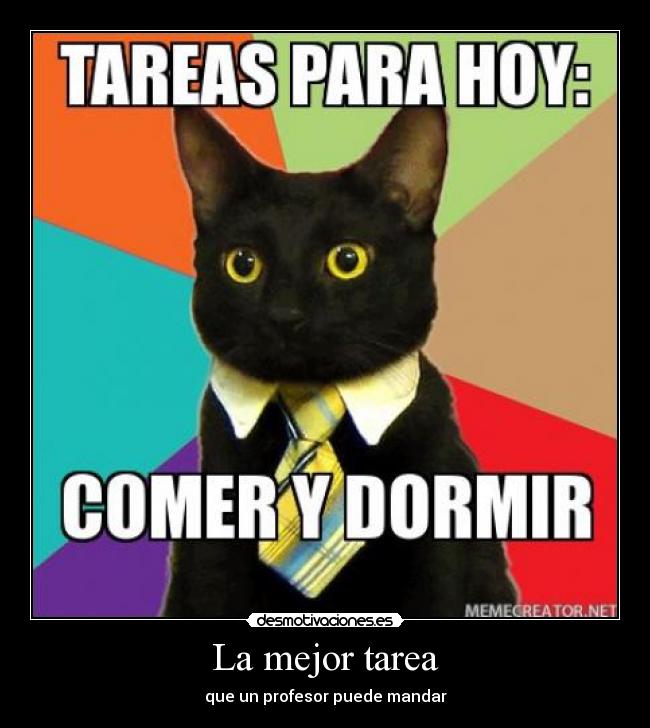 La mejor tarea - que un profesor puede mandar