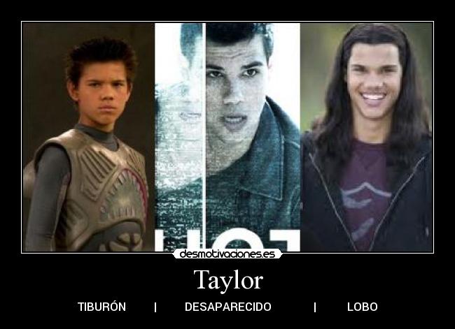 Taylor - TIBURÓN          |          DESAPARECIDO               |           LOBO