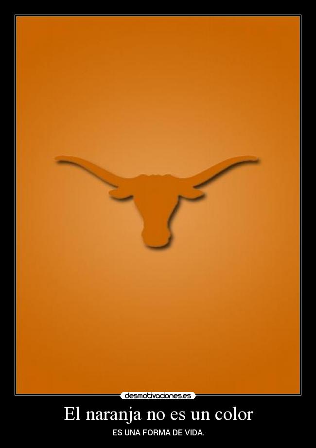 carteles longhorns desmotivaciones