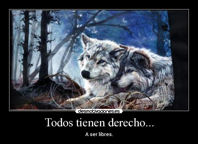 Todos tienen derecho... - A ser libres.