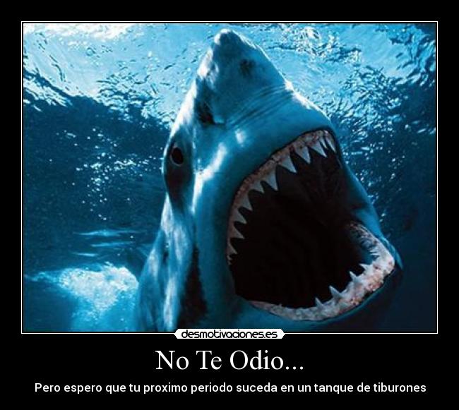 No Te Odio... - Pero espero que tu proximo periodo suceda en un tanque de tiburones