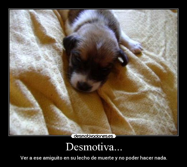 Desmotiva... - 