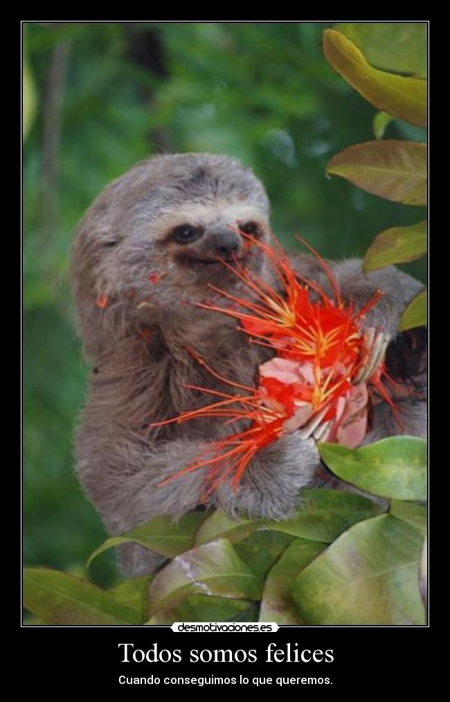 carteles lalala desmotivaciones