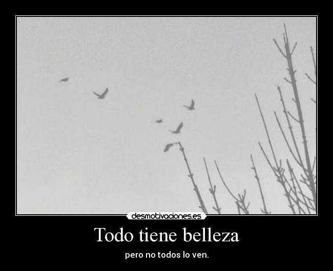 Todo tiene belleza -