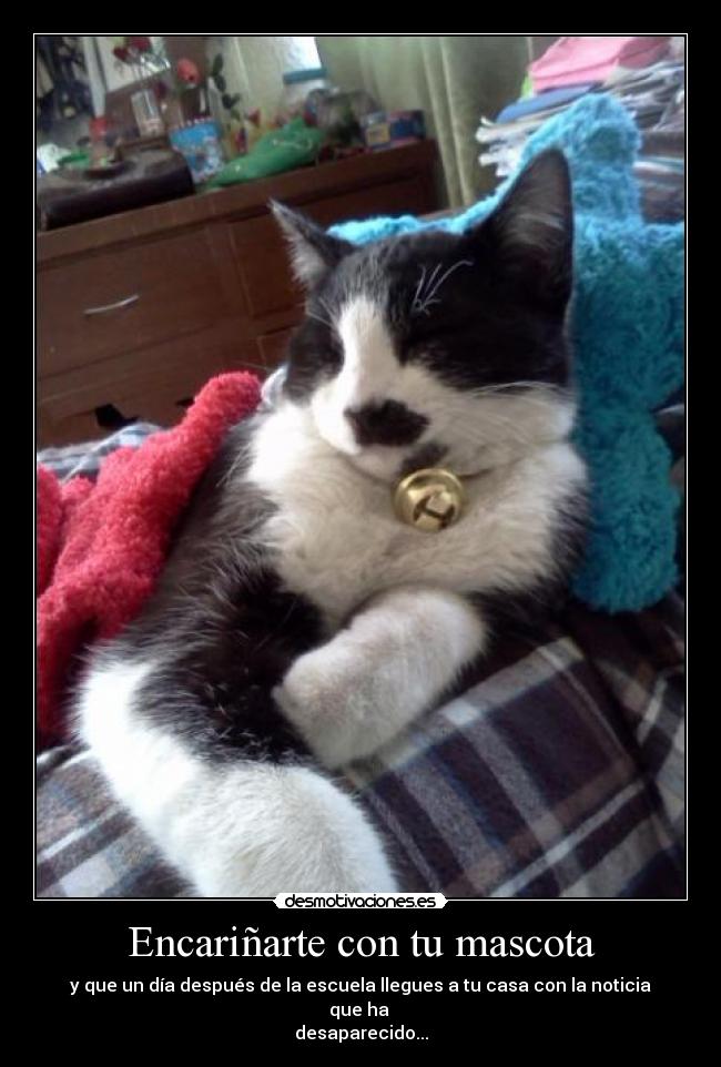 Encariñarte con tu mascota - y que un día después de la escuela llegues a tu casa con la noticia que ha
desaparecido...
