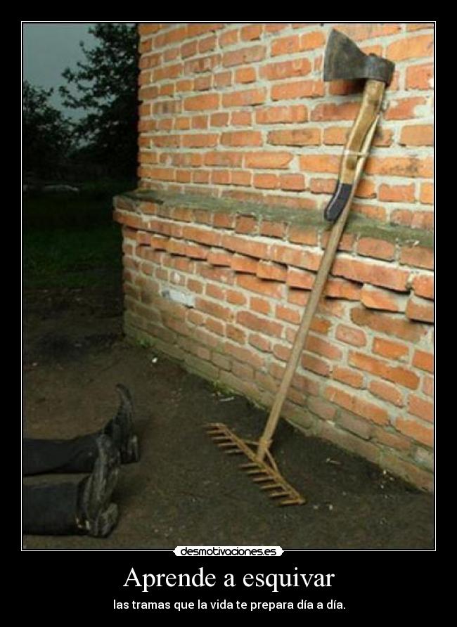 Aprende a esquivar - las tramas que la vida te prepara día a día.