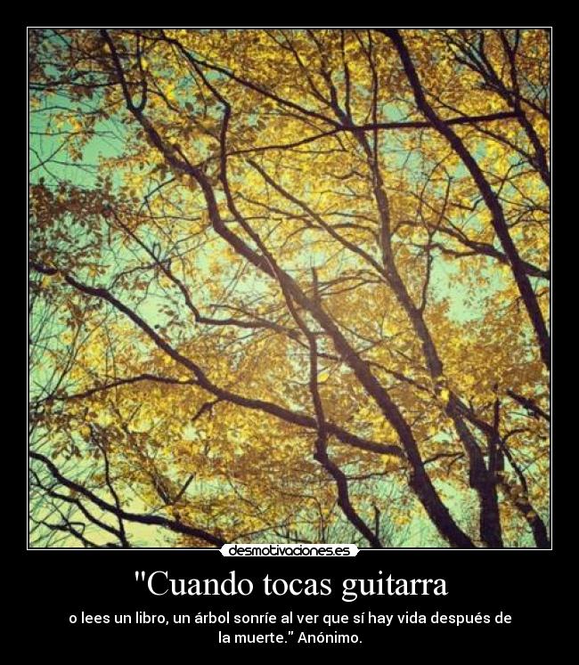 carteles ese anonimo que activo con sus frases senor desmotivaciones