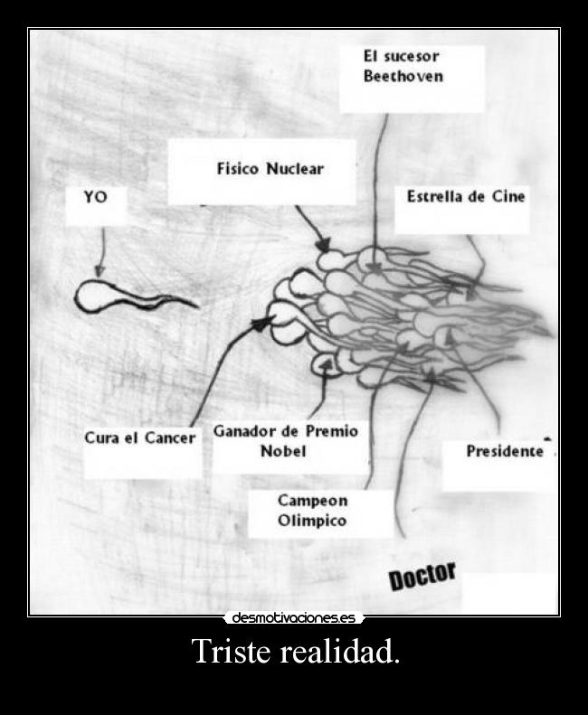 Triste realidad. -