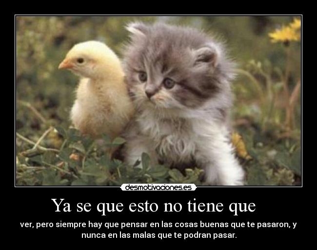 Ya se que esto no tiene que -