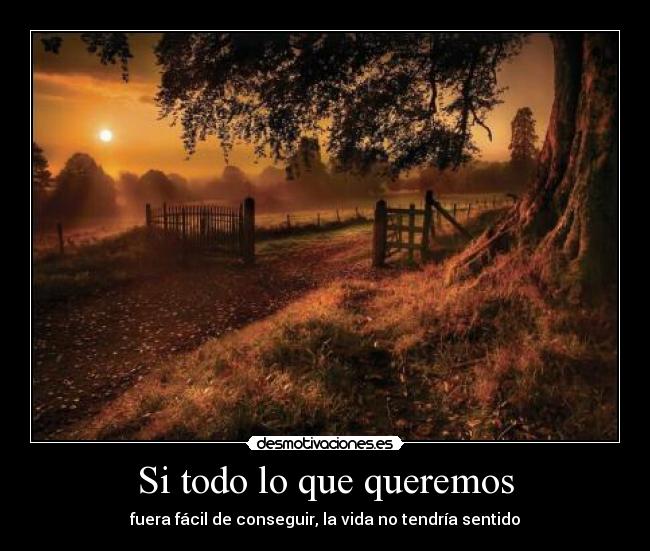 Si todo lo que queremos - 
