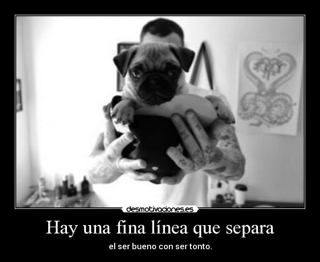 carteles hagas que traten mal laquehacefotosalostios beatryz findingnemo desmotivaciones