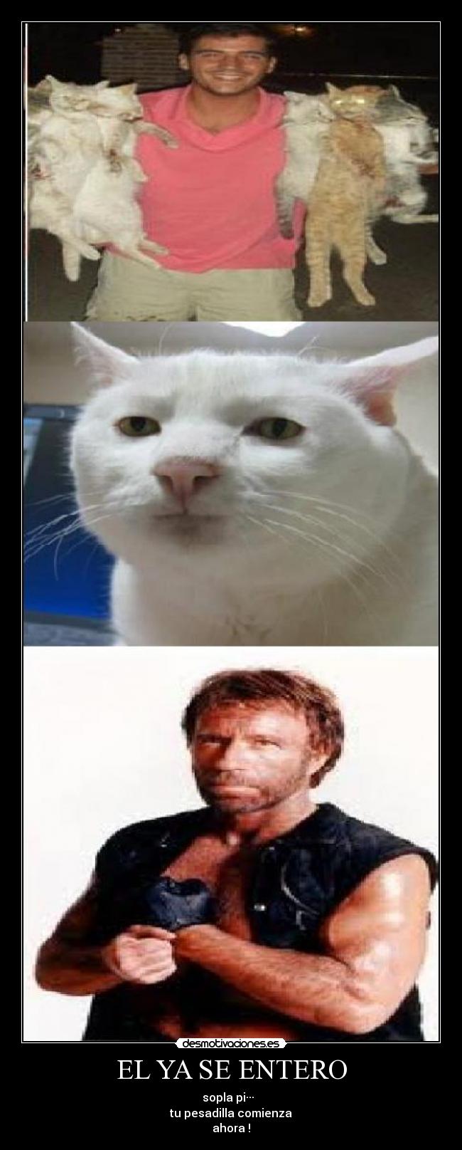 EL YA SE ENTERO - 
