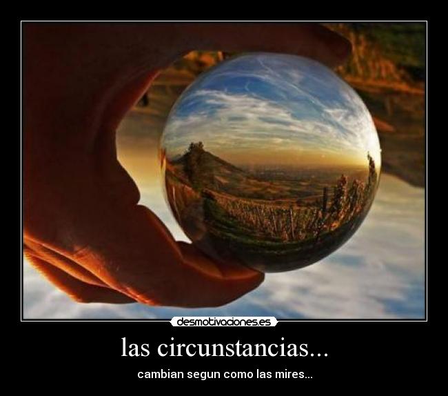 carteles circunstancias bola cristal perrito piloto desmotivaciones