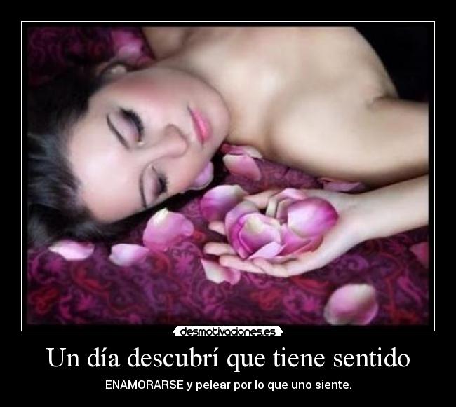 Un día descubrí que tiene sentido -