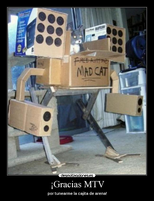 ¡Gracias MTV - por tunearme la cajita de arena!