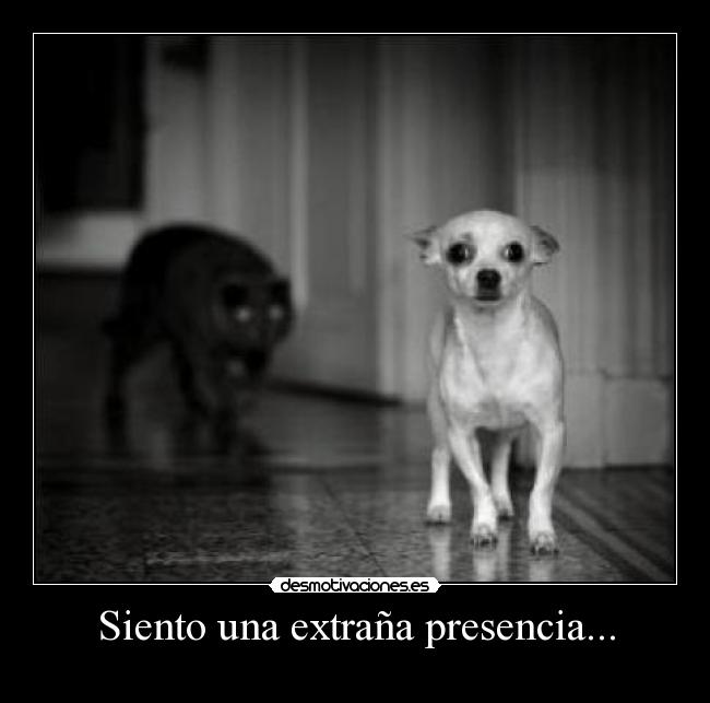 Siento una extraña presencia... -