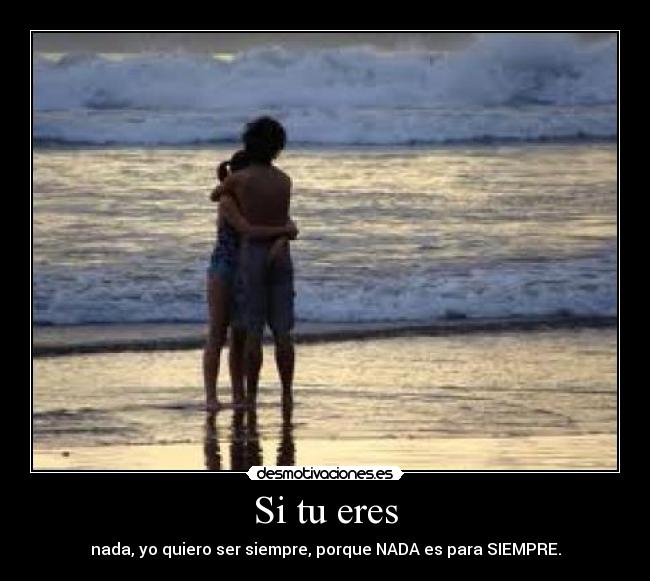 carteles taniail desmotivaciones