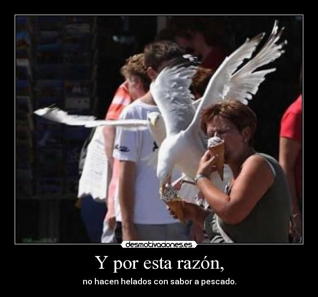 Y por esta razón, - no hacen helados con sabor a pescado.