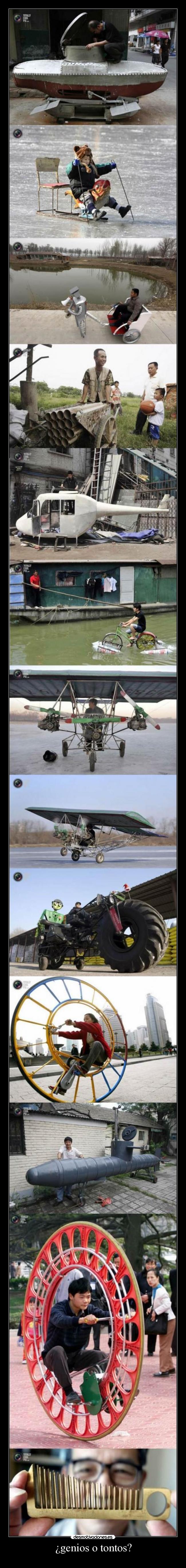 ¿genios o tontos? - 