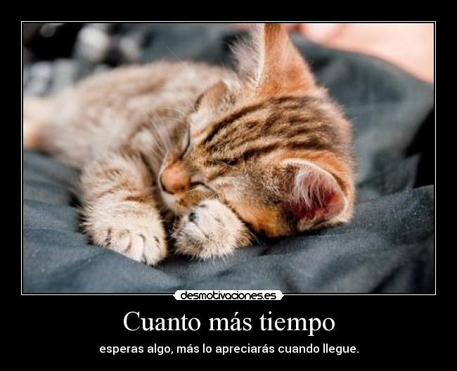 Cuanto más tiempo - esperas algo, más lo apreciarás cuando llegue.