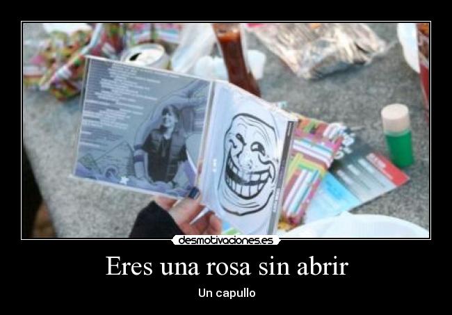 Eres una rosa sin abrir - 