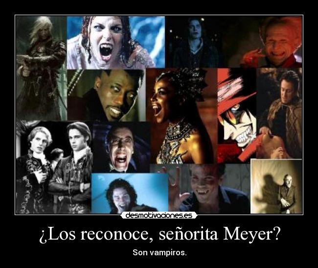¿Los reconoce, señorita Meyer? - 