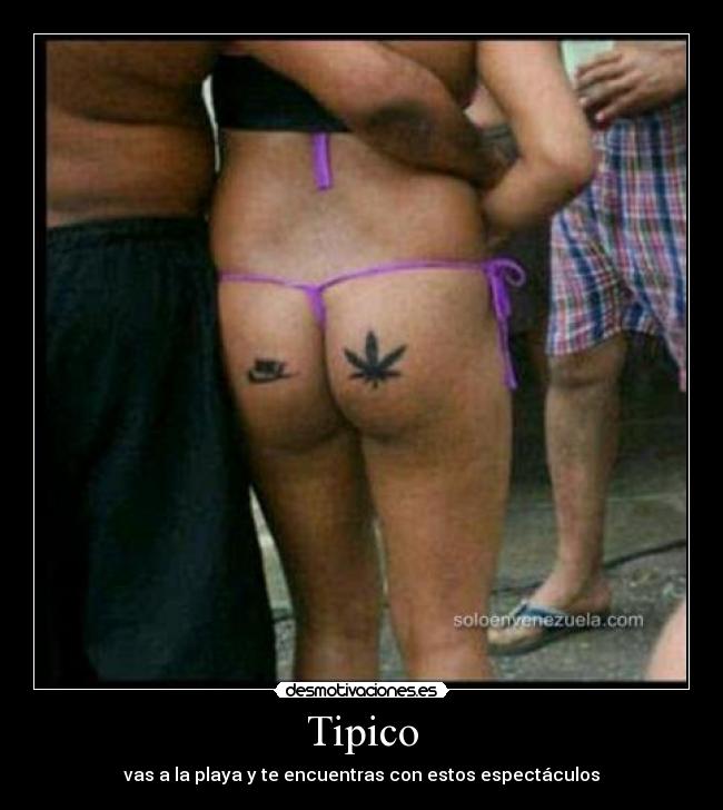 Tipico - 