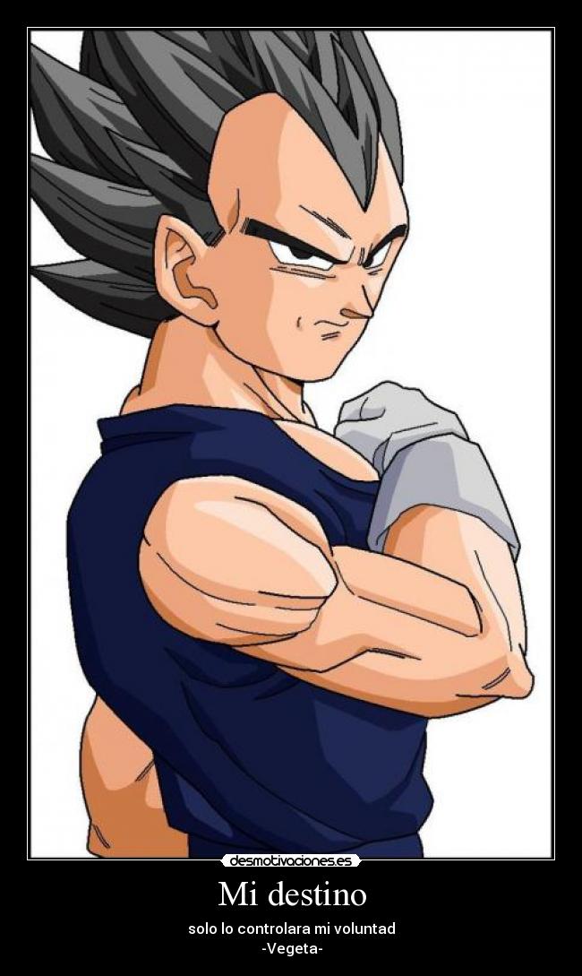 Mi destino - solo lo controlara mi voluntad
-Vegeta-