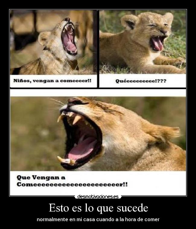 Esto es lo que sucede - 