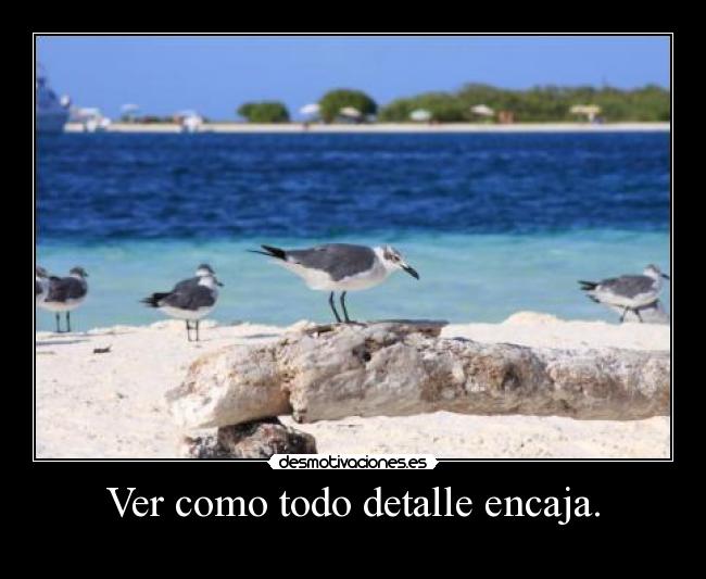 Ver como todo detalle encaja. - 