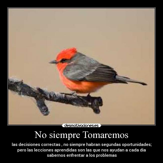 No siempre Tomaremos - las decisiones correctas , no siempre habran segundas oportunidades;
pero las lecciones aprendidas son las que nos ayudan a cada dia
sabernos enfrentar a los problemas