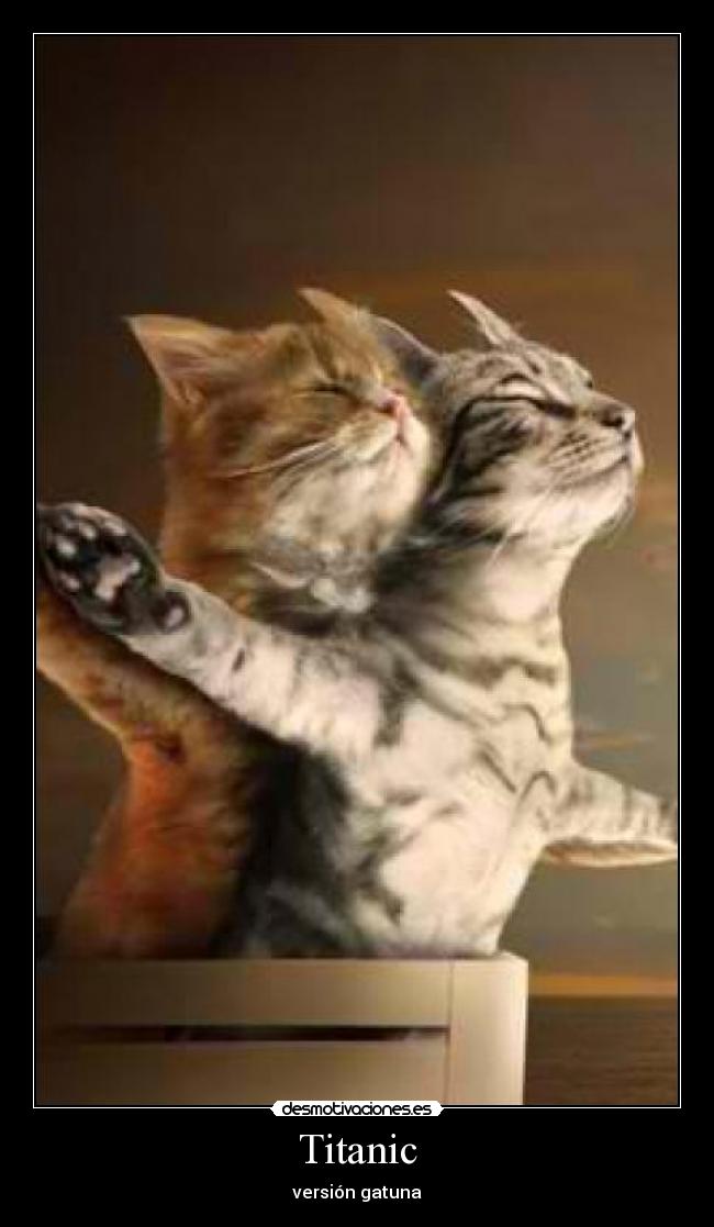 Titanic - versión gatuna