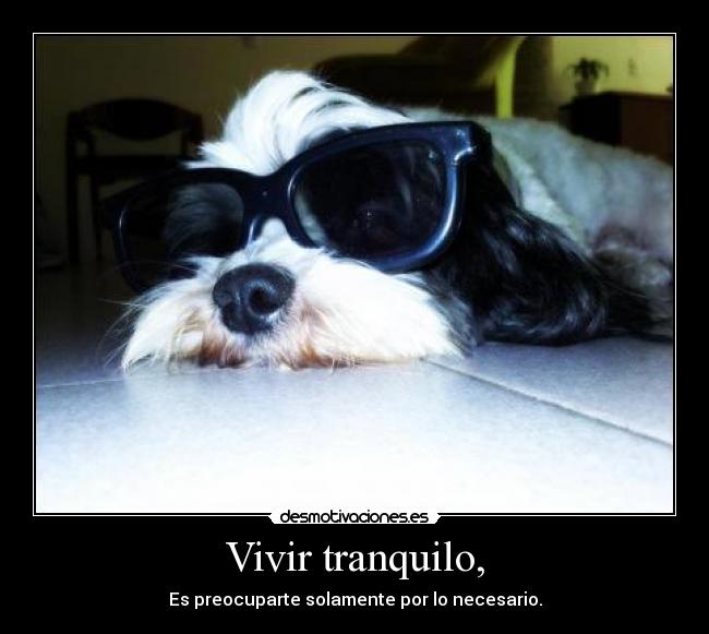 carteles lala desmotivaciones