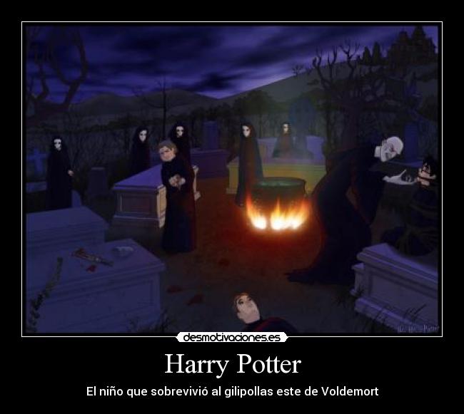 Harry Potter -
