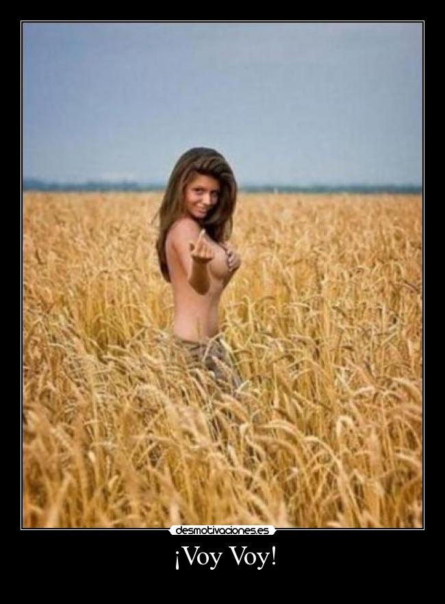 ¡Voy Voy! -