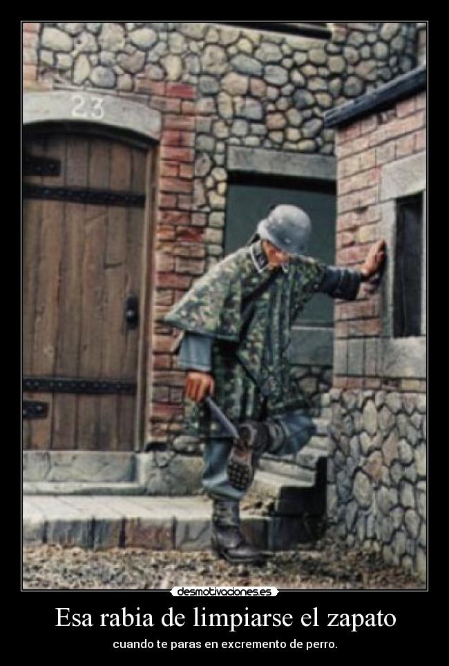 Esa rabia de limpiarse el zapato - cuando te paras en excremento de perro.