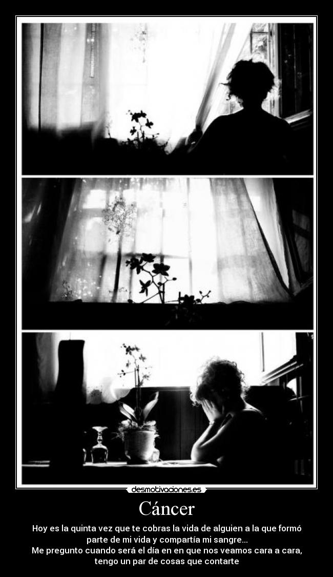Cáncer - Hoy es la quinta vez que te cobras la vida de alguien a la que formó
parte de mi vida y compartía mi sangre...
Me pregunto cuando será el día en en que nos veamos cara a cara,
tengo un par de cosas que contarte