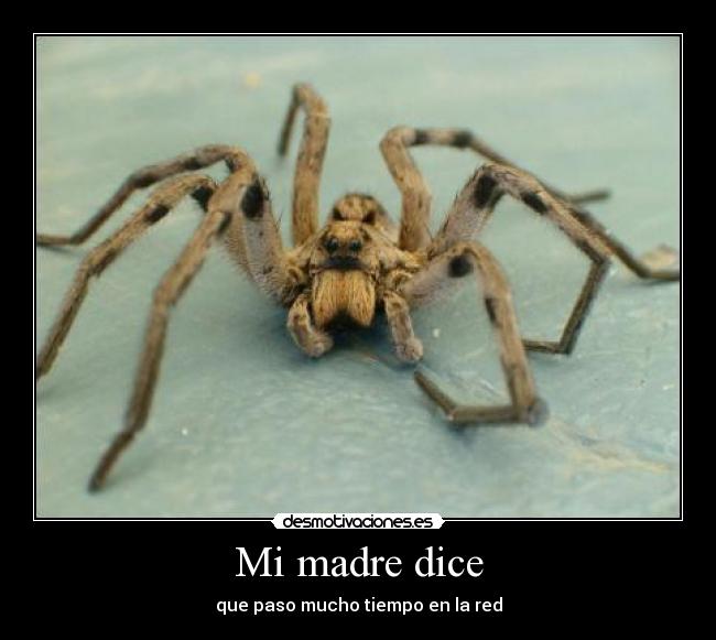 Mi madre dice - que paso mucho tiempo en la red