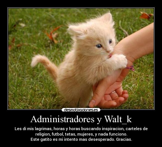 Administradores y Walt_k - 