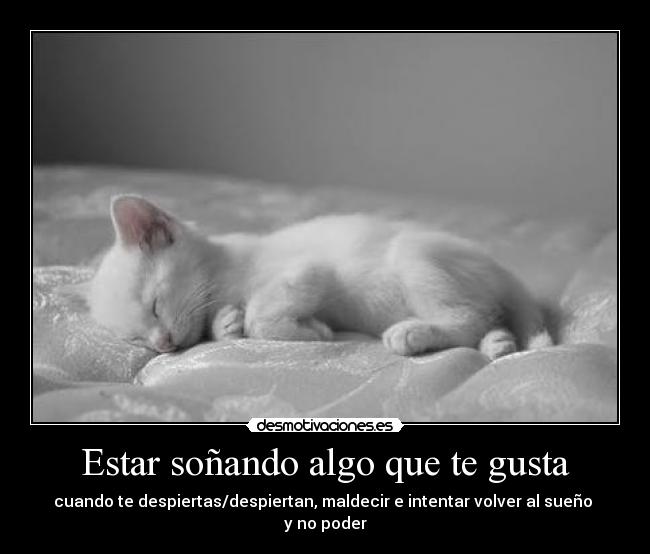 carteles iironica desmotivaciones