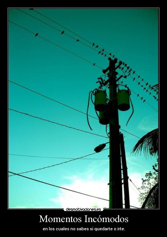carteles momentos incomodos desmotivaciones