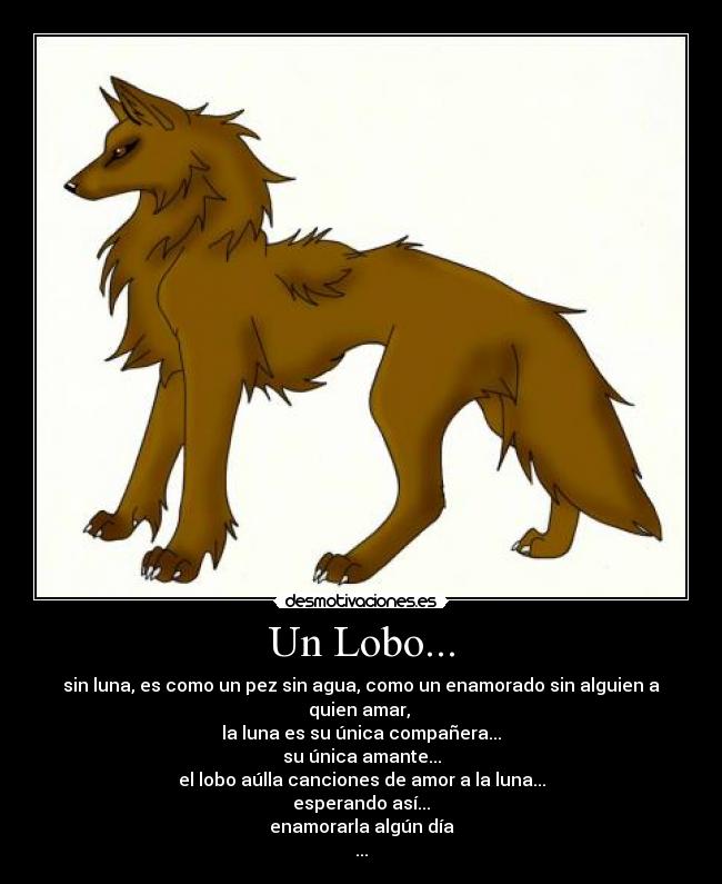 Un Lobo... - sin luna, es como un pez sin agua, como un enamorado sin alguien a quien amar,
la luna es su única compañera...
su única amante...
el lobo aúlla canciones de amor a la luna...
esperando así...
enamorarla algún día
...