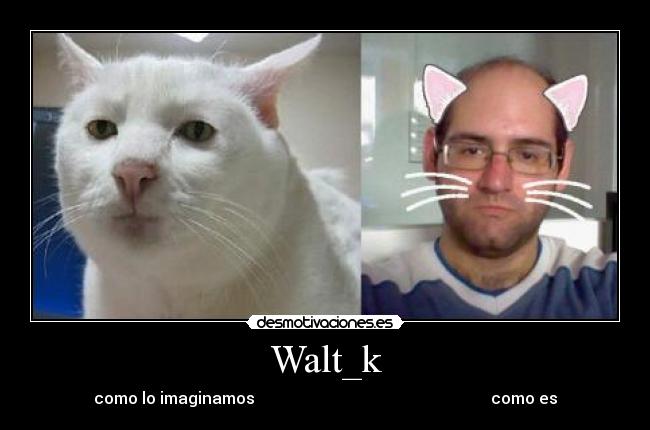 Walt_k -