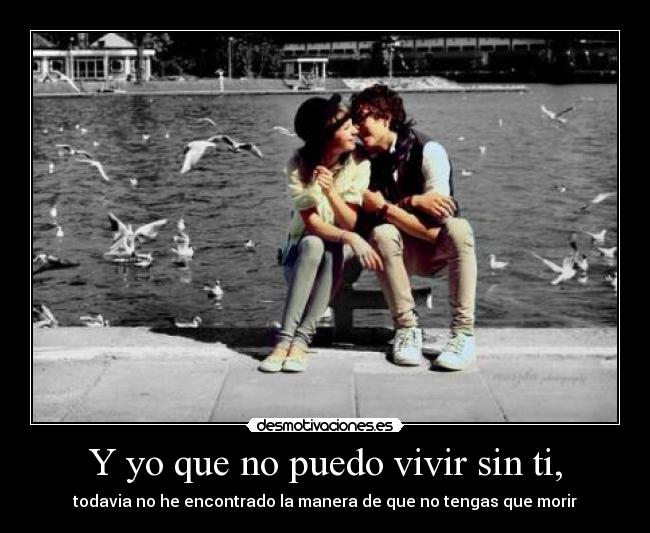 carteles estoy buscando desmotivaciones