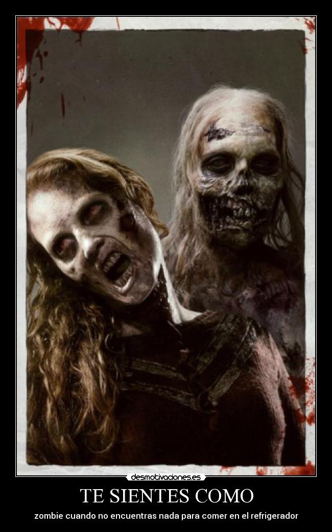 TE SIENTES COMO - zombie cuando no encuentras nada para comer en el refrigerador