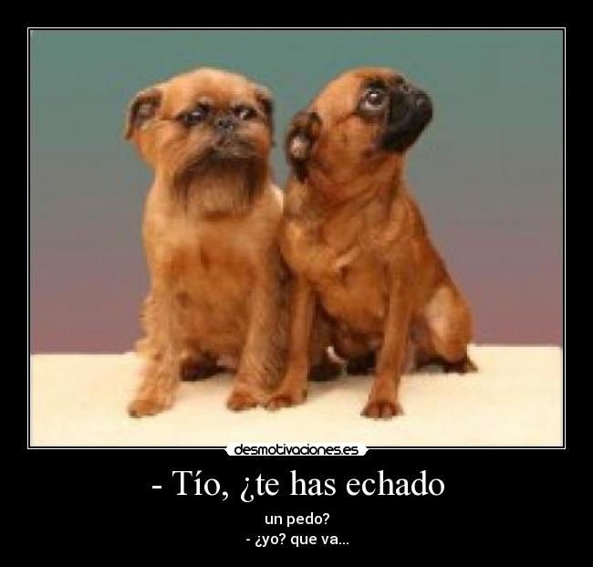 - Tío, ¿te has echado -